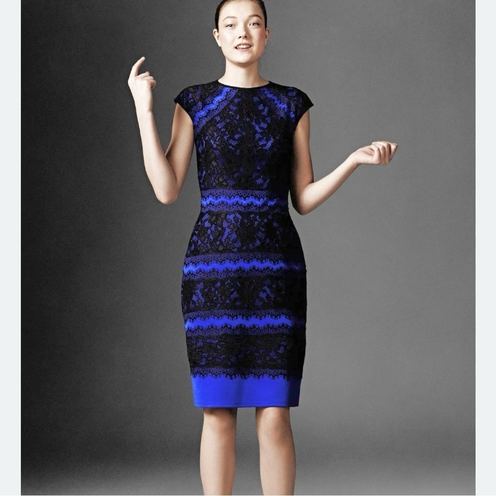 Tadashi Shoji Embroidered Lace Sheath Dress 2 Cocktail Party Royal Blue & Black